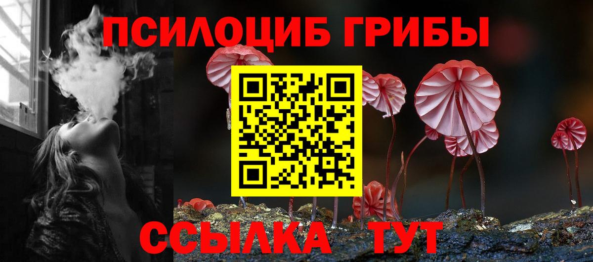 Галлюциногенные грибы прущие грибы Унеча